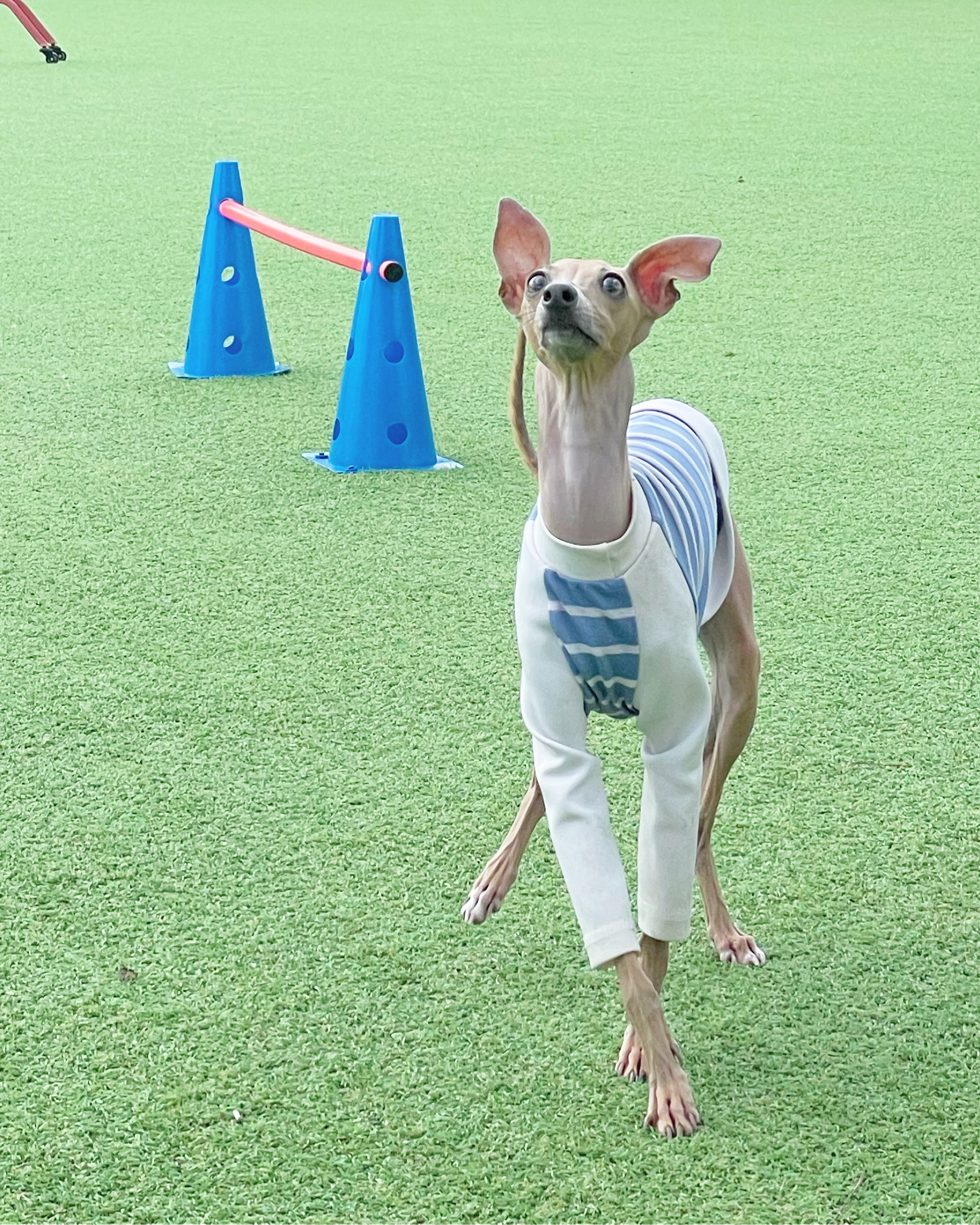 스냅보드 이미지 7