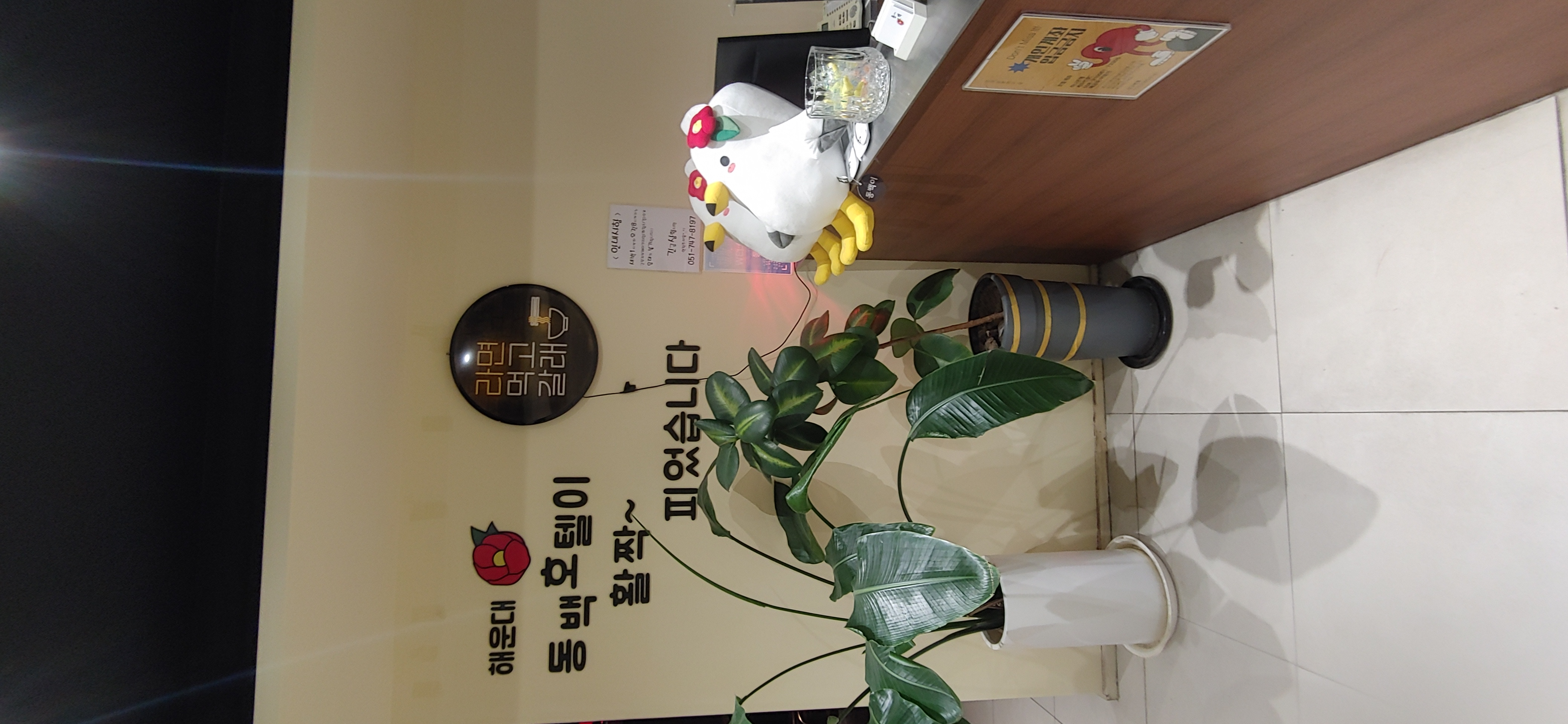 스냅보드 이미지 5