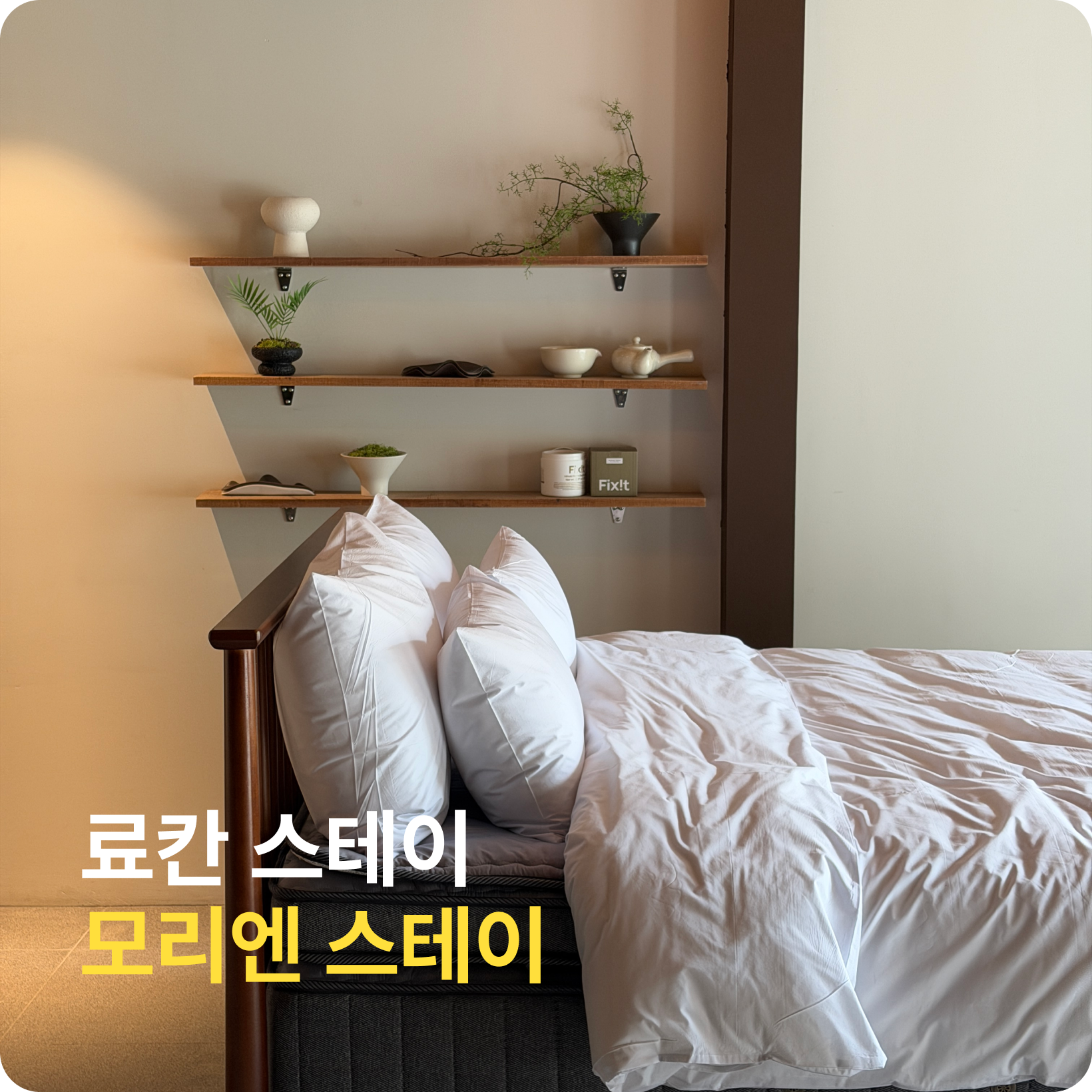 모리엔스테이 소개