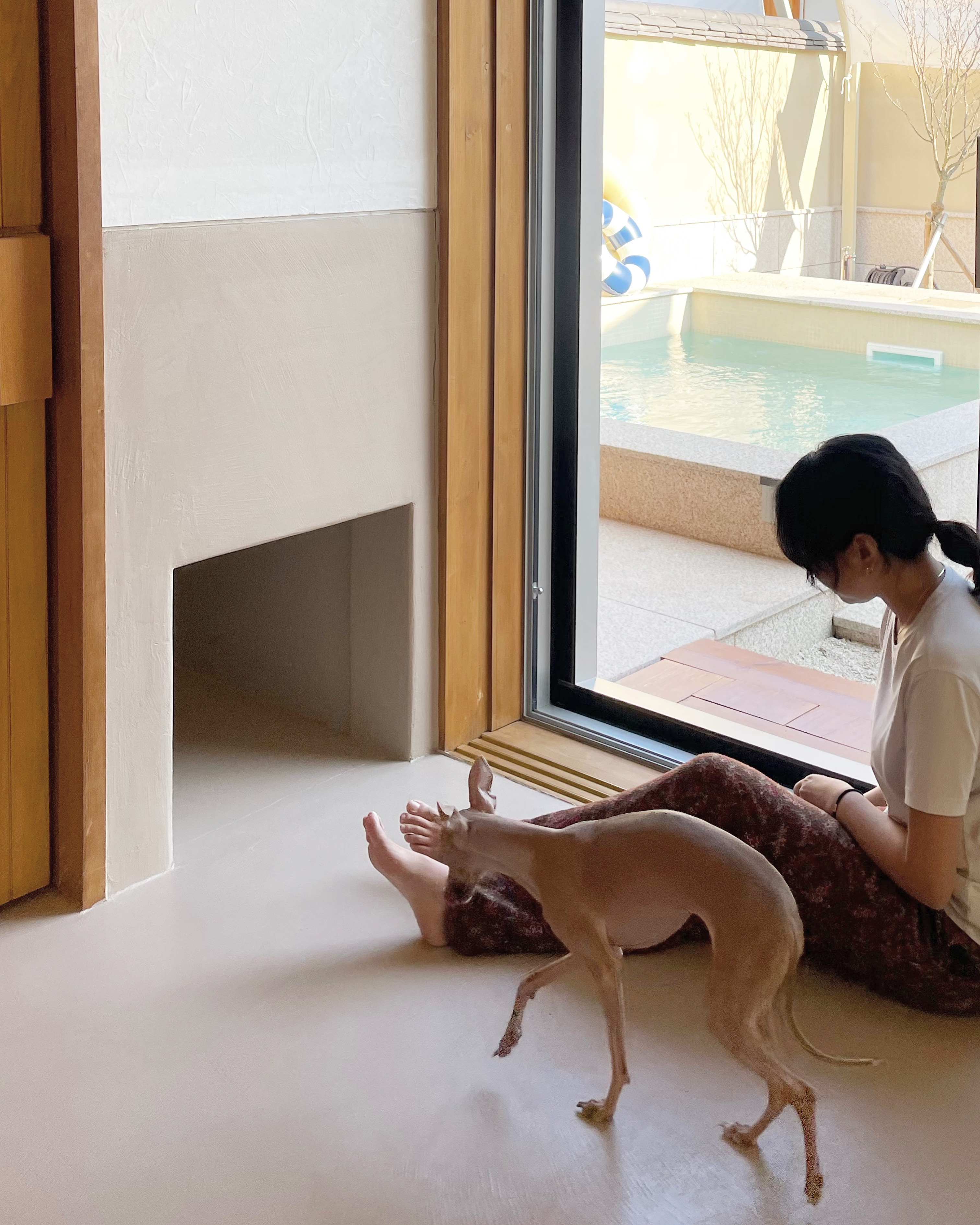 스냅보드 이미지 3