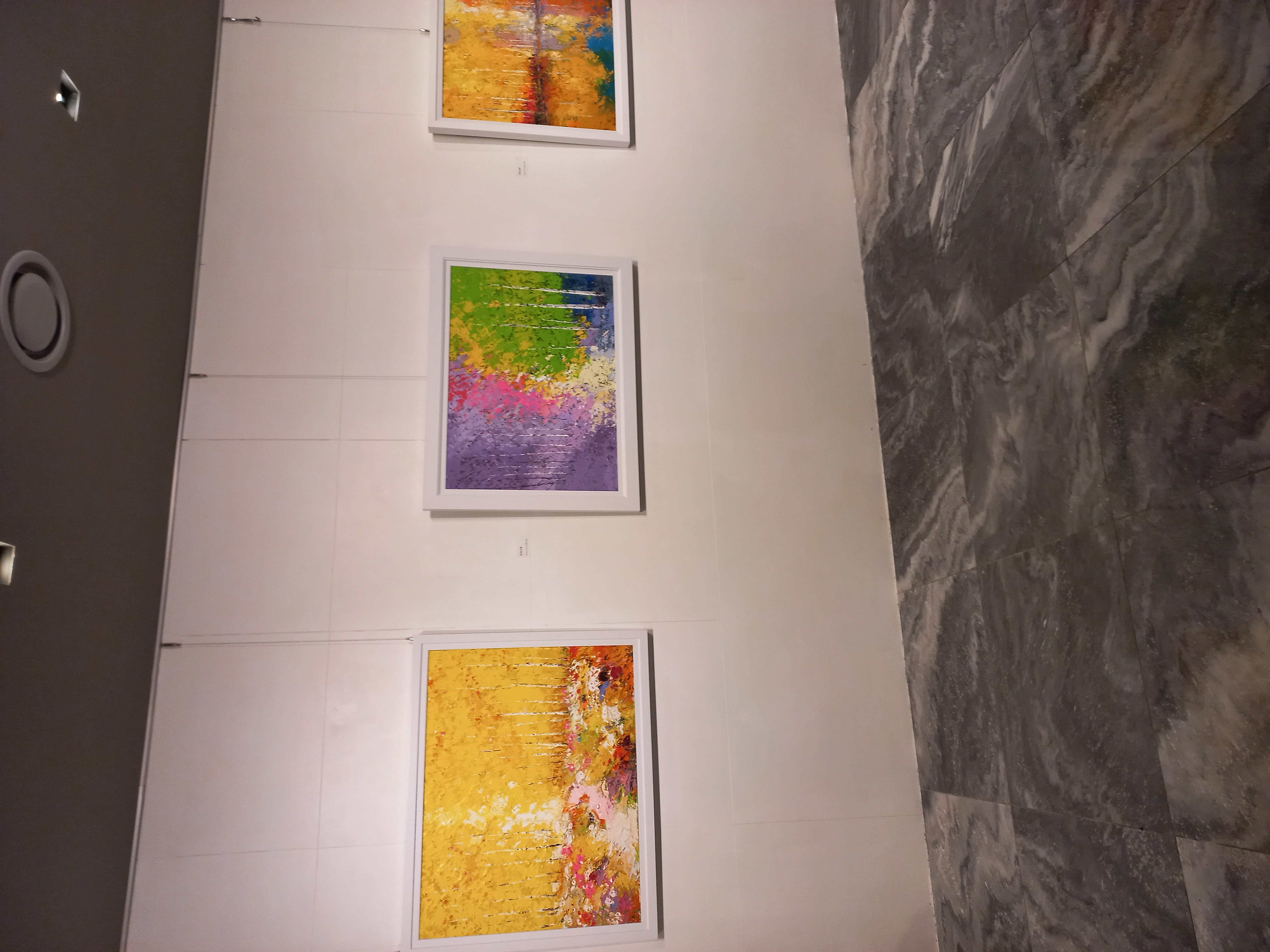 Snap board 225
