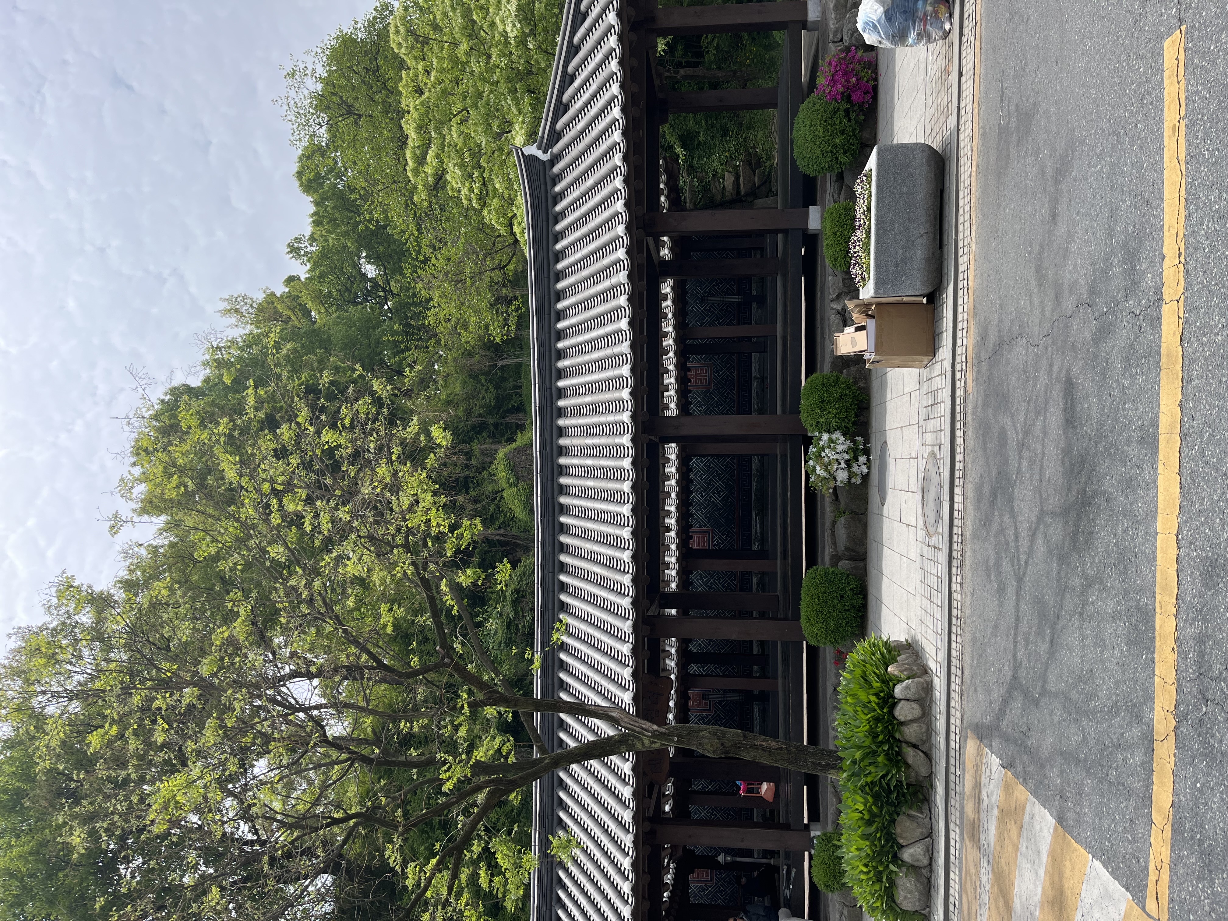 스냅보드 이미지 4