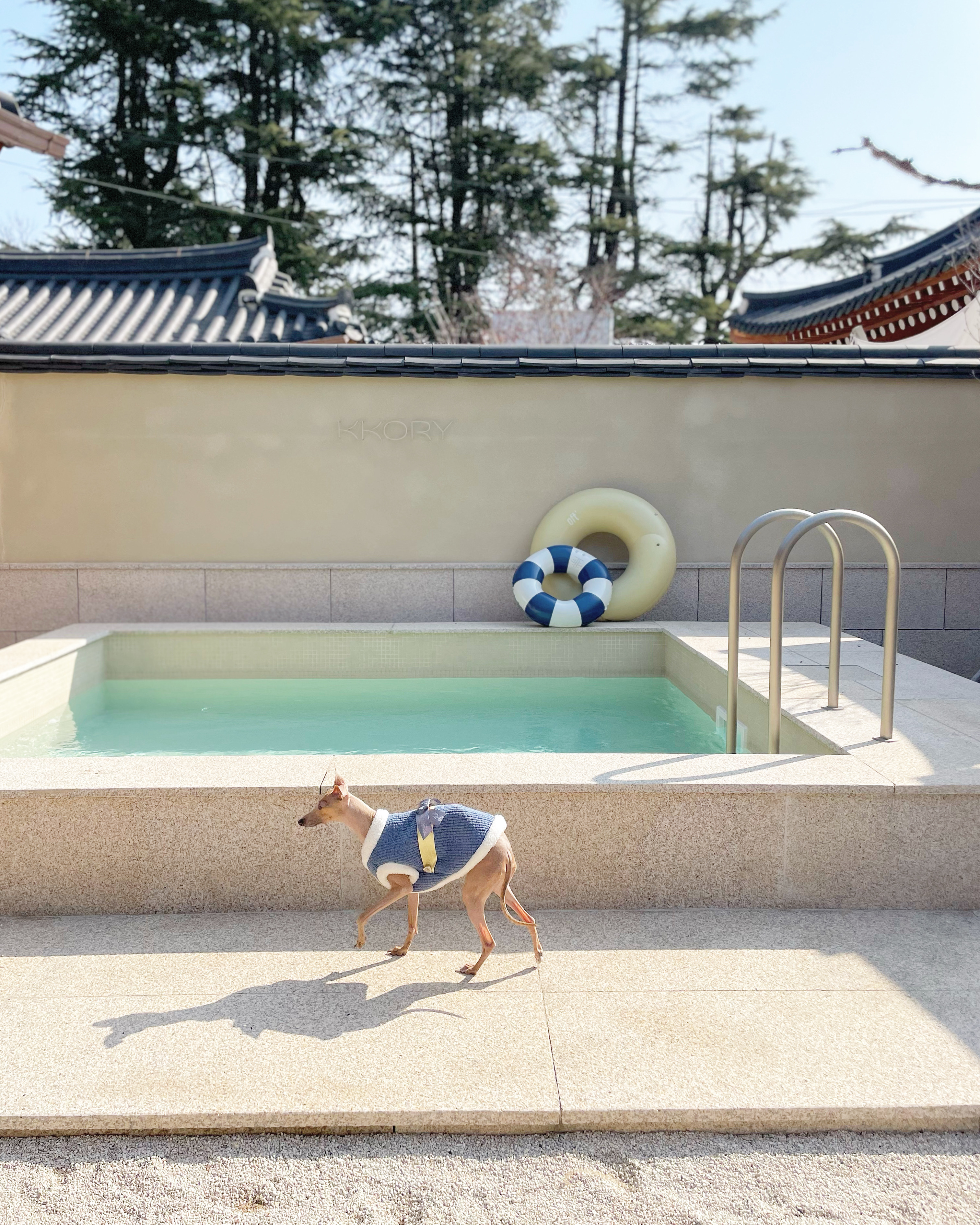 스냅보드 이미지 4