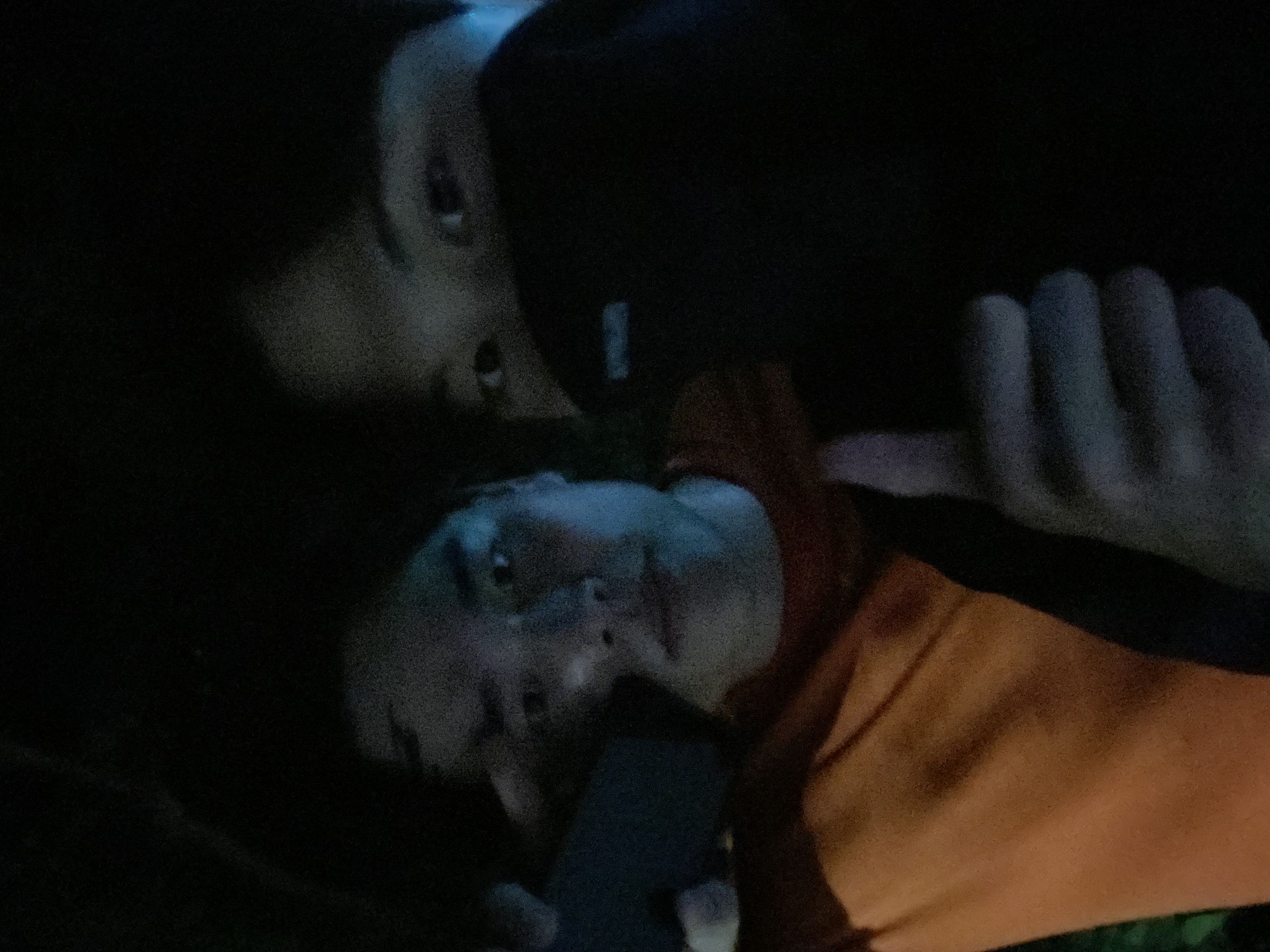 잠꼬대 오늘도 4키로 뛰뛰 게시글 이미지