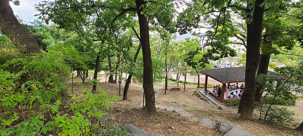 스냅보드 이미지