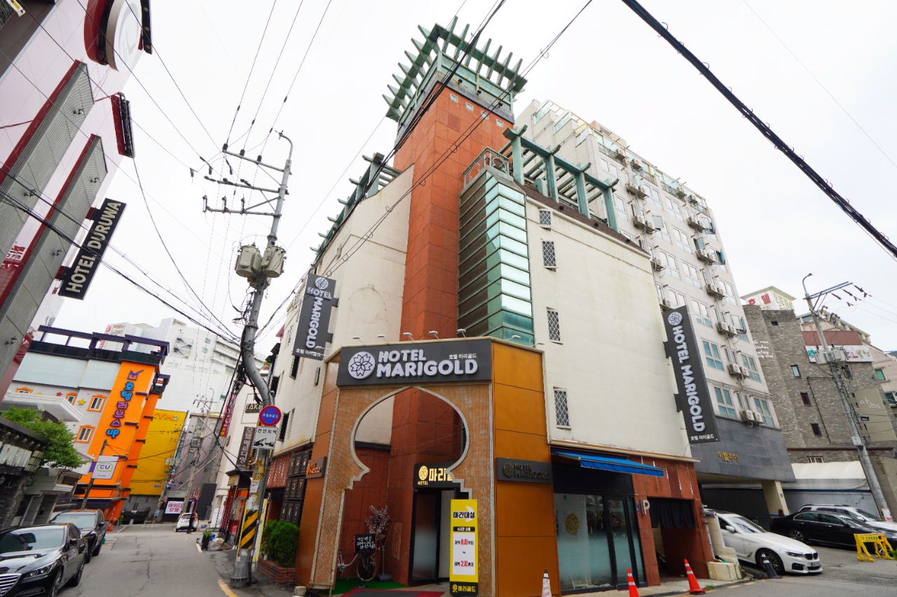 3954 인천 부평 마리골드의 숙소 대표사진